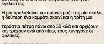 Ξανθιές το σκάνε από τη φυλακή που ήταν έγκλειστες