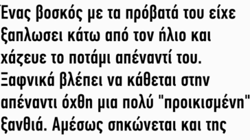 Ένας βοσκός με τα πρόβατά του είχε ξαπλώσει κάτω από τον ήλιο