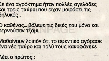 Το ανέκδοτο της ημέρας: Οι αγελάδες και ο καινούριος ταύρος