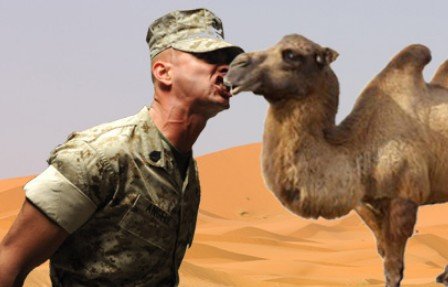 Ανέκδοτο: Ο νέος διοικητής και η καμήλα…