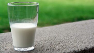 Ανέκδοτο: Το γάλα