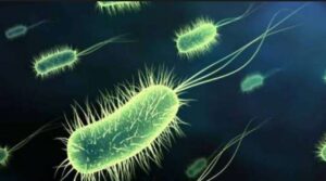 Ανέκδοτο: Τα μικρόβια
