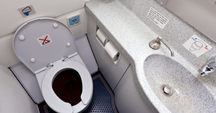 Ανέκδοτο: Η τουαλέτα του αεροπλάνου και τα κουμπιά …! Τρελό γέλιο