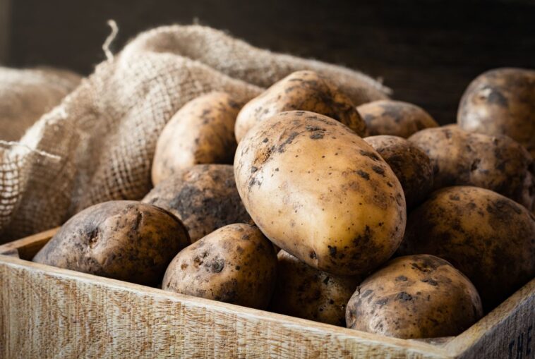 Ανέκδοτο με αγρότισσες: Η τεράστια πατάτα