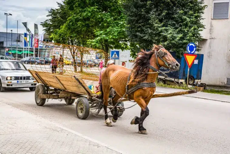 Ανέκδοτο: Ο Κυρ Κώστας και η άμαξα με τα άλογα …! Τρελό γέλιο